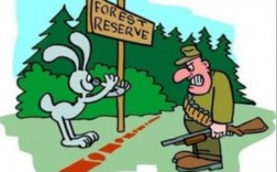 猎人兔子森林短文（猎人兔子的故事）