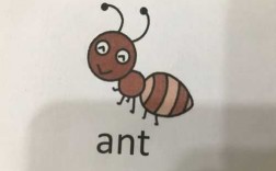 蚂蚁小短文英语（蚂蚁英语作文）