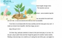 种树英文短文（种树英文过程）