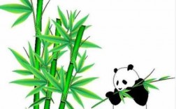 熊猫爬竹子的短文（熊猫爬向竹子的场景怎么画）