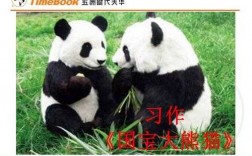 熊猫阅读短文（熊猫课外阅读答案）