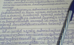 300字泰文短文（用泰语写一篇作文）