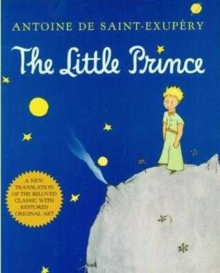 thefrogprince短文（the little prince作文）-图3