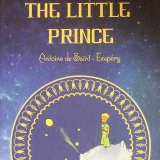 thefrogprince短文（the little prince作文）-图1