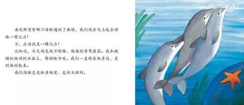 海豚的故事短文（海豚的故事）-图3