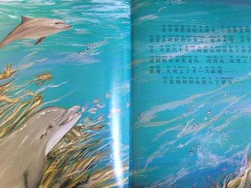 海豚的故事短文（海豚的故事）-图2