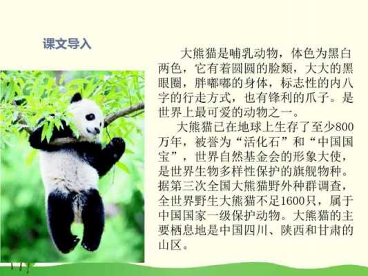 阅读短文大熊猫（大熊猫 阅读理解）-图2