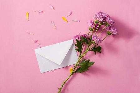 短文飞来的信封（飞来的信件像那彩色的花瓣）-图3