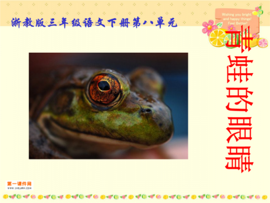 包含青蛙的眼睛短文的词条-图2