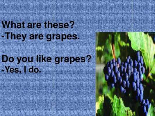 sourgrapes短文（what about some grapes）-图1