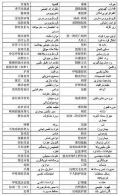 伊朗语言短文（伊朗语言翻译中文）-图3