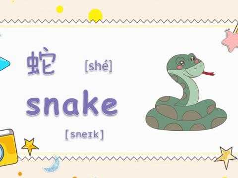 介绍蛇的英语短文（用英文介绍蛇）-图3