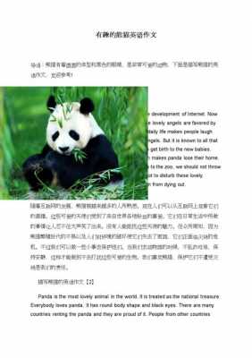 熊猫英语短文带翻译（熊猫英语短文5句）-图3